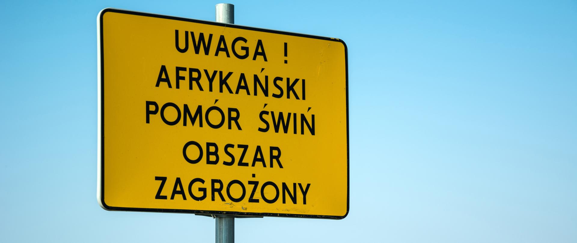 Yellow warning sign - attention, african swine fever, area at risk in polish language