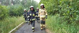 Grupa umundurowanych strażaków idąca leśną drogą.