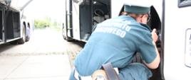 Inspektor mazowieckiej Inspekcji Transportu Drogowego kontroluje stan techniczny autokaru przed wyjazdem na letni wypoczynek z grupą dzieci i młodzieży.