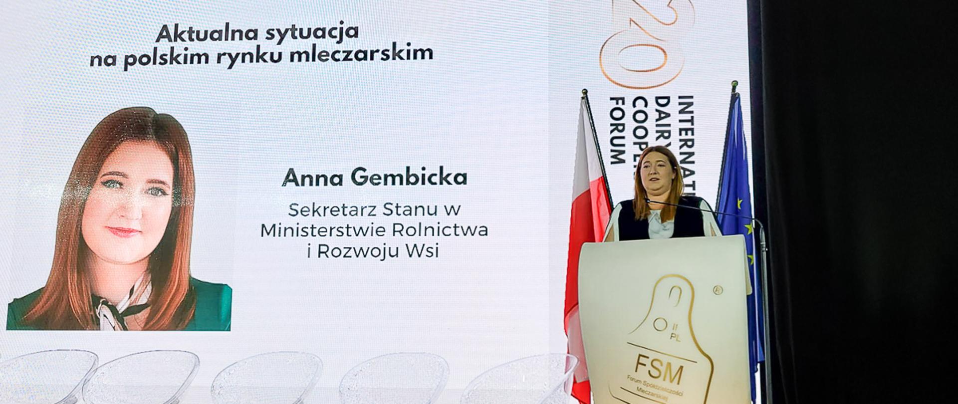 wiceminister Anna Gembicka przemawiająca przy mównicy