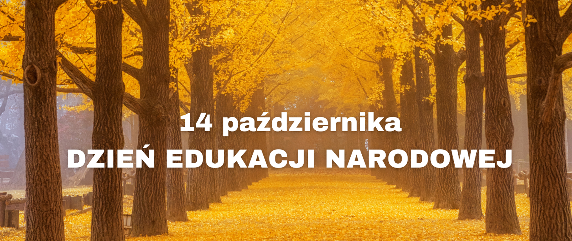 Na obrazku alejka wysypana żółtymi liśćmi. Po prawej i lewej stronie alejki rząd drzew z koroną żółtych liści. W centralnej części obrazka biały napis: "14 października Dzień Edukacji Narodowej".