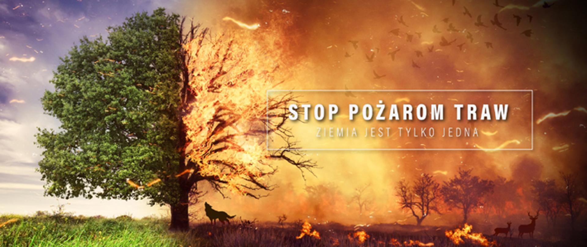 plakat Kampanii społecznej Państwowej Straży Pożarnej „Stop Pożarom Traw”