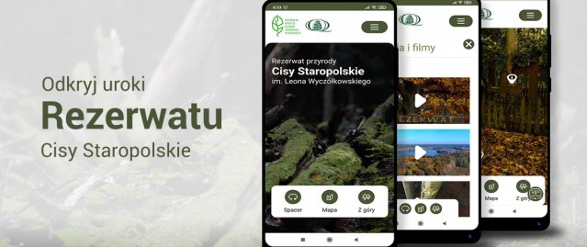 Odkryj uroki Rezerwatu Cisy Staropolskie - zdjęcie telefonów z aplikacją