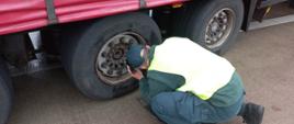 Inspektor lubuskiej Inspekcji Transportu Drogowego sprawdza stan techniczny naczepy ciężarowej.