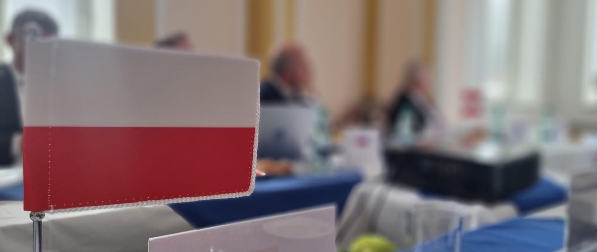 Sala na której odbywa się spotkanie. Na pierwszym planie flaga Polski