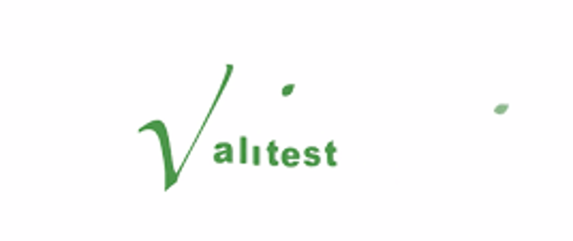 Logo VALITEST