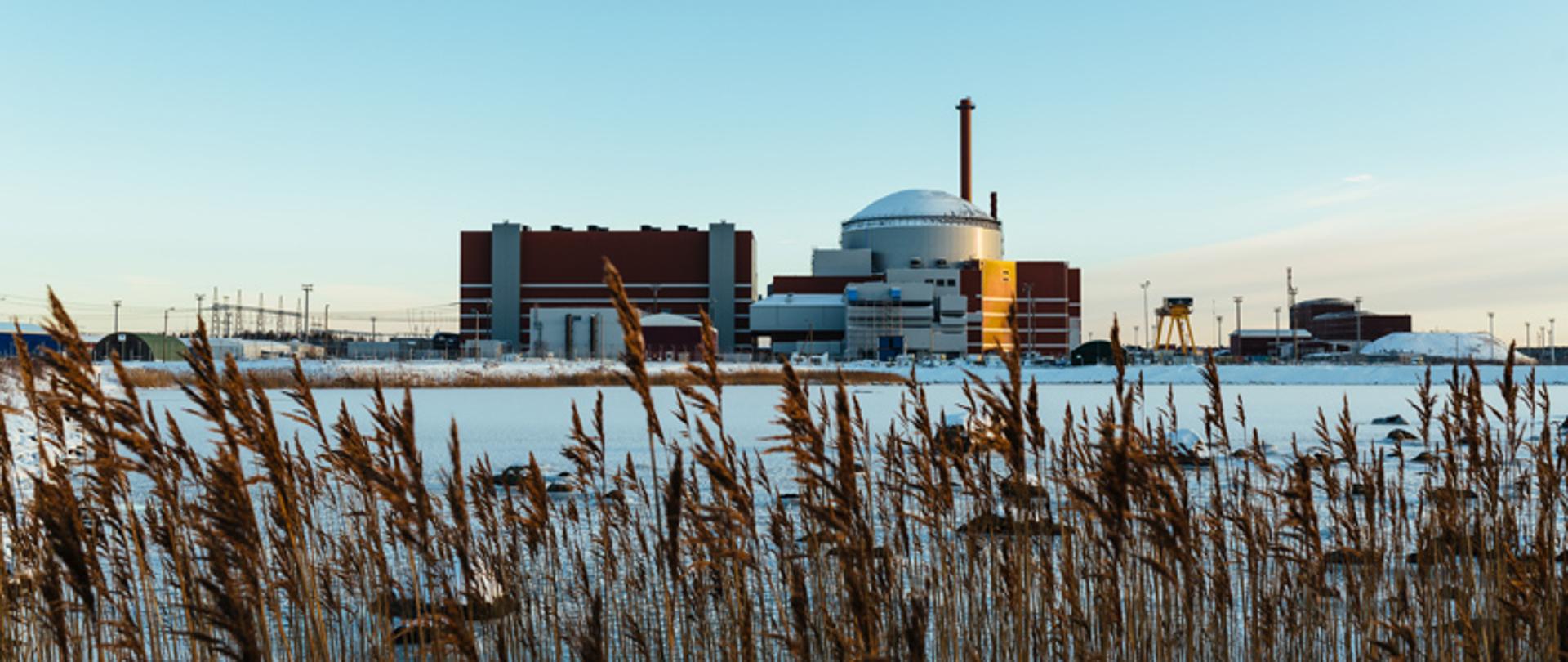 Elektrownia jądrowa Oilkuloto. Zima - przed elektrownią pole zasypane śniegiem. Na pierwszym planie kłosy pożółkłych traw.