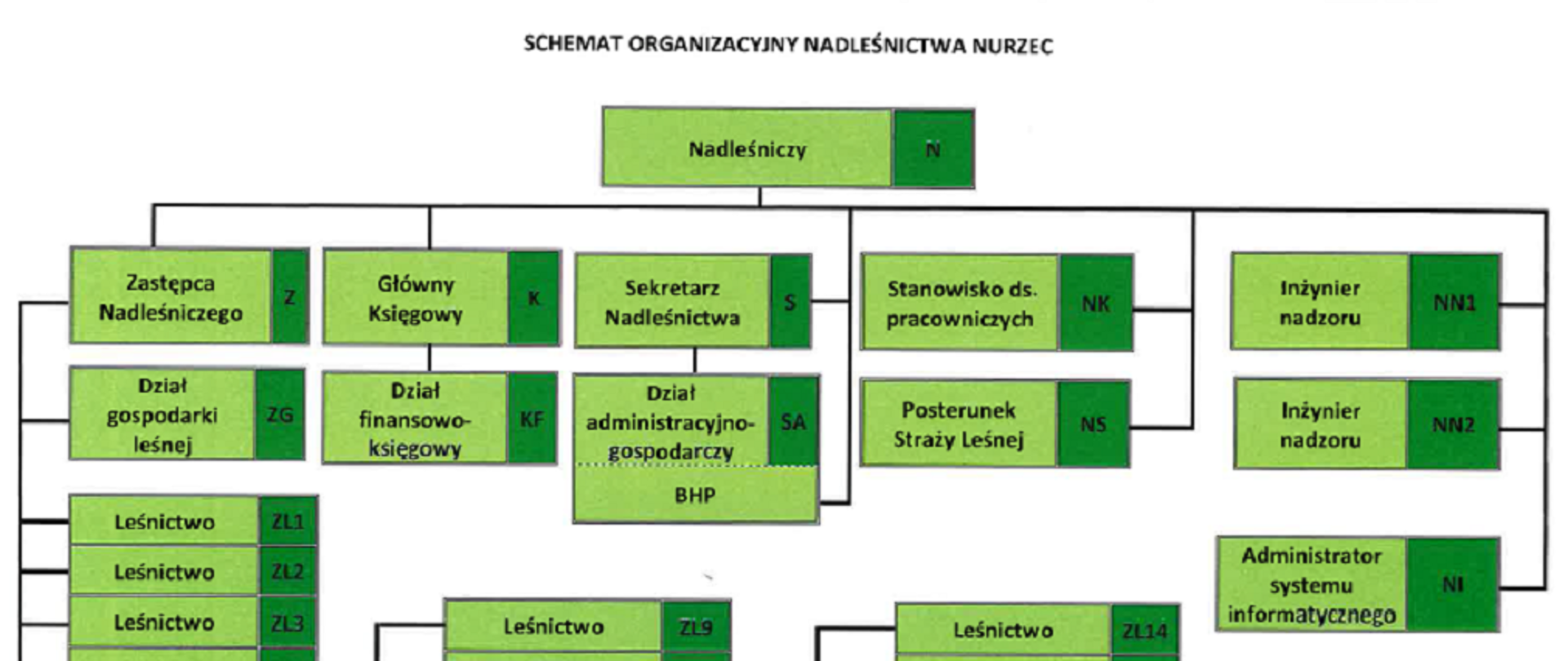 Schemat organizacyjny Nadleśnictwa Nurzec