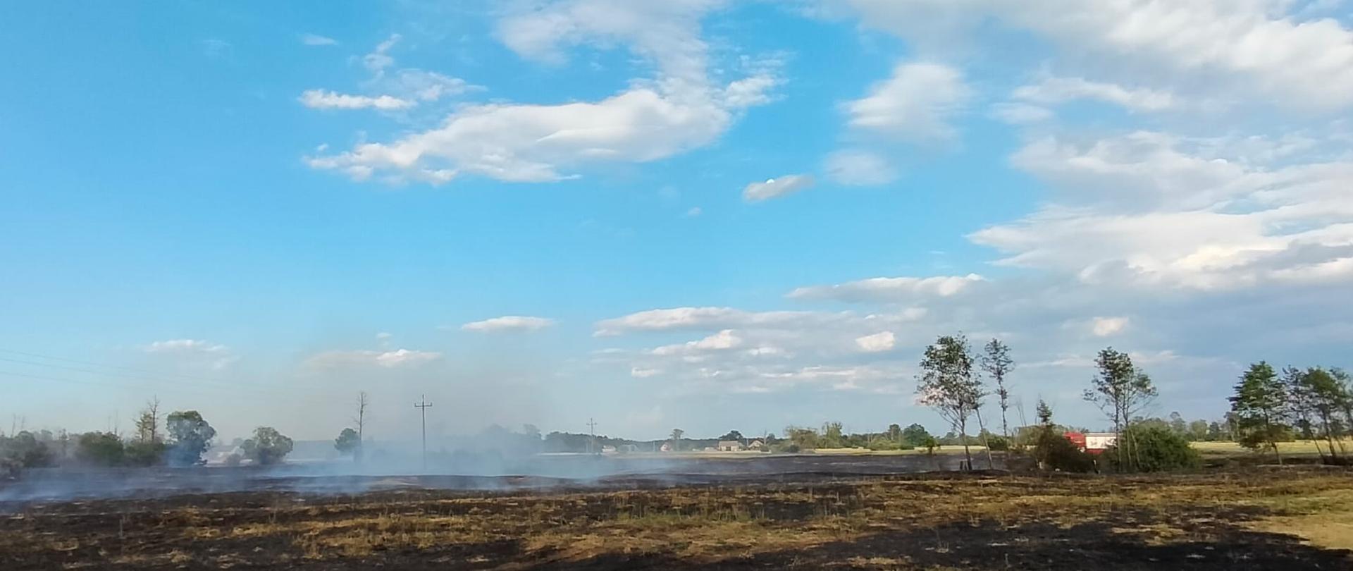 Zdjęcie przedstawia spaloną trawę na nieużytkach