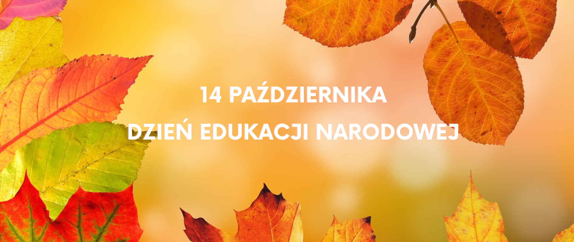Na jasno brązowym tle z lewej strony zdjęcia, u dołu oraz u góry kolorowe fragmenty liści jesiennych. W centralnej części obrazka biały napis: "14 października Dzień Edukacji Narodowej"