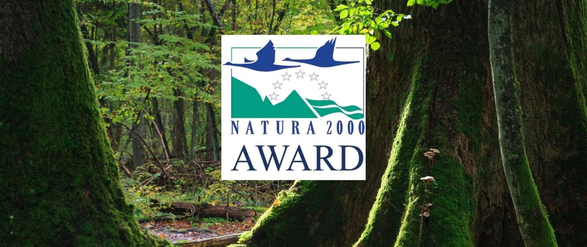 Na tle starego lasu - grube drzewa porośnięte zielonym mchem - nałożony biały prostokąt z napisem Natura 2000 Award
