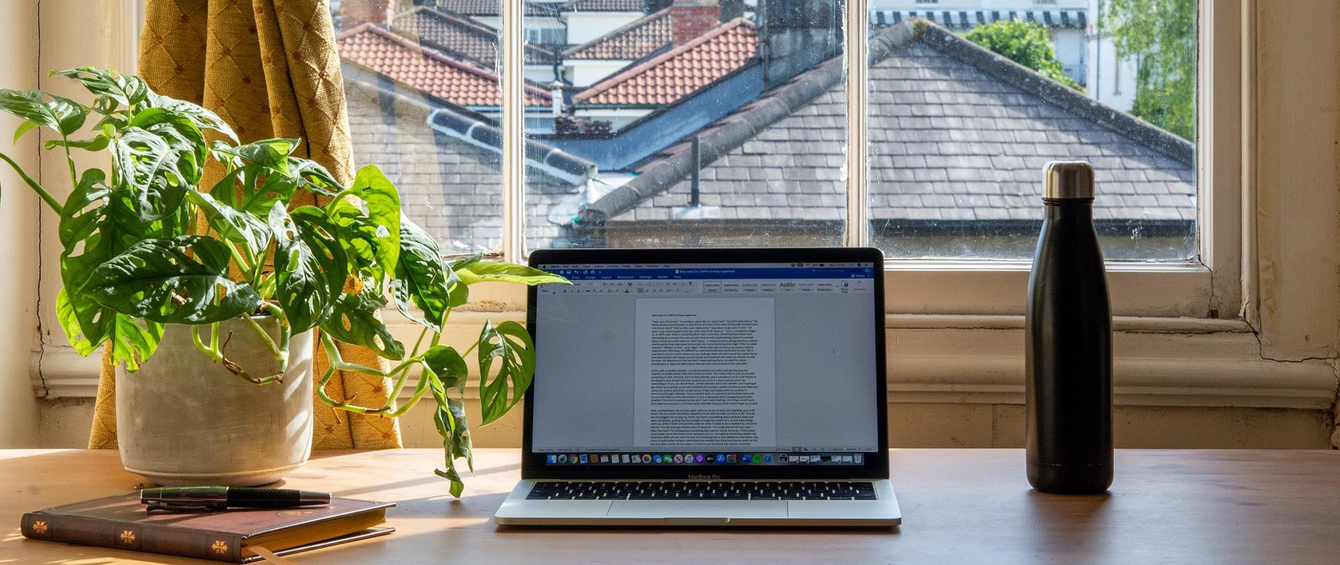 Zdjęcie - laptop stojący na stole, obok roślina w doniczce, za nim okno z widokiem na spadziste dachy zabudowań.