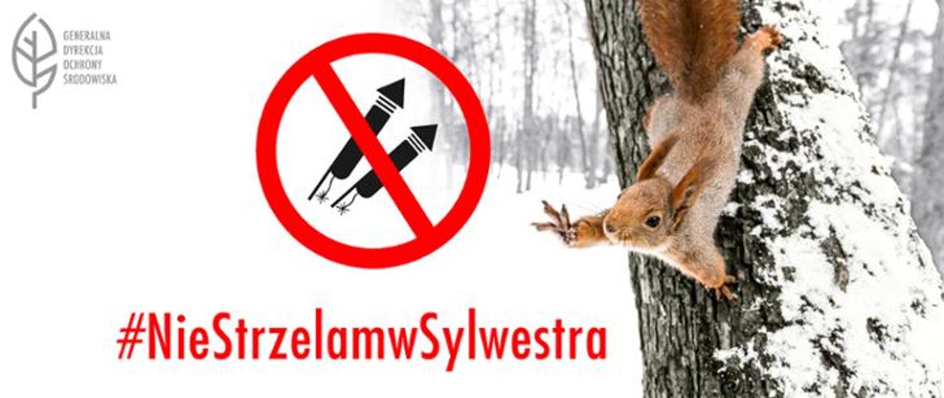 Napis: #Niestrzelamwsylwestra przekreślona grafika petard. W tle wiewiórka spadająca z drzewa