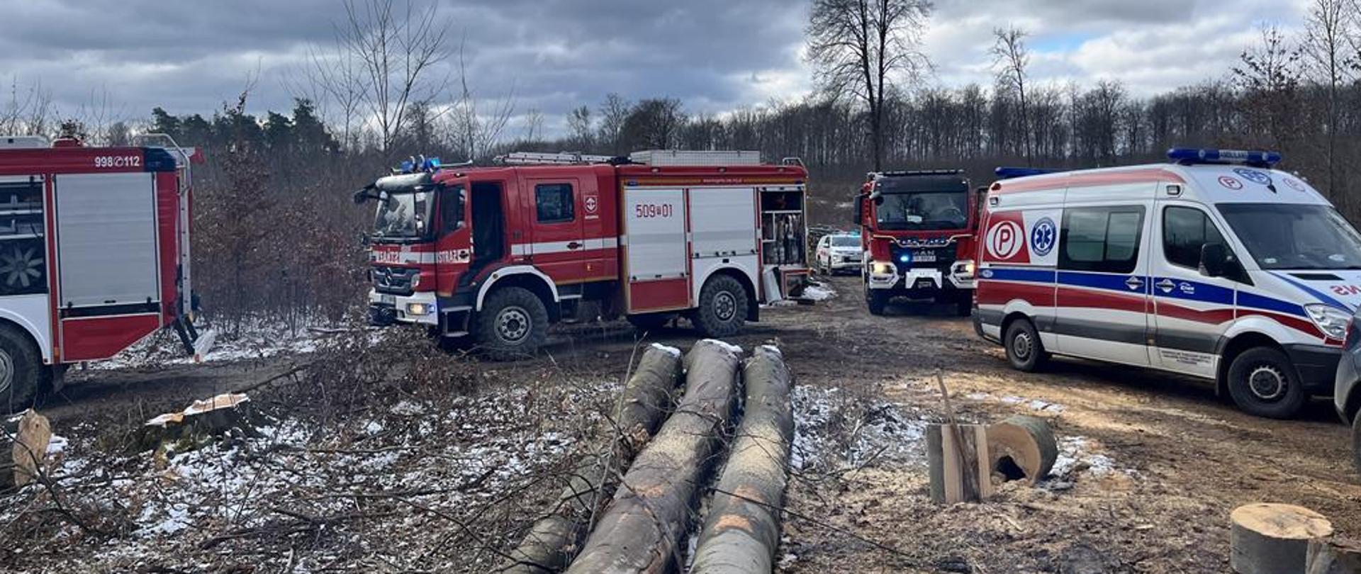Działania ratownicze w miejscowości Jurkowice