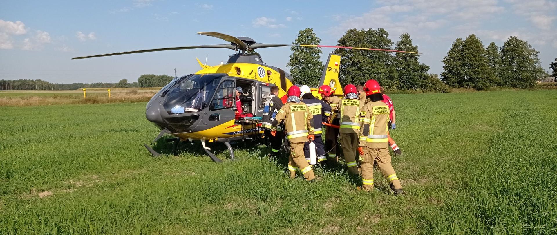Zdjęcie przedstawia strażaków i ratowników medycznych działających przy wypadku.
W tle śmigłowiec ratowniczy, pole i drzewa.
