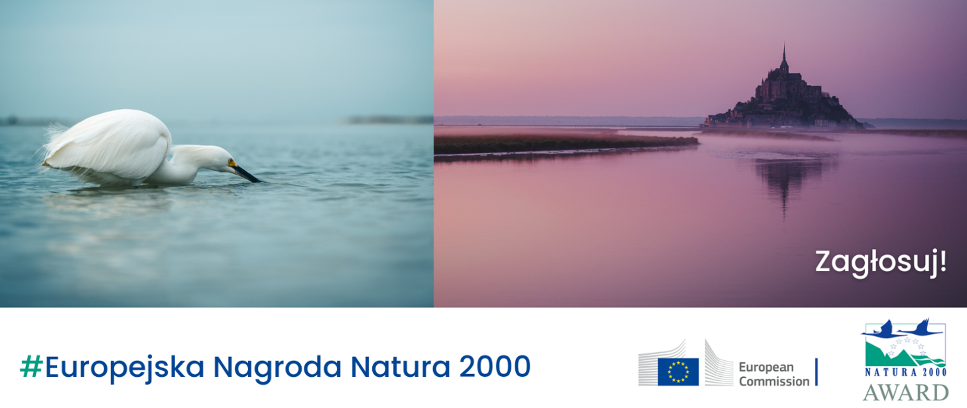 Dwa zdjęcia zestawione ze sobą. Na jednym biały ptak na wodzie, na drugim krajobraz z budowlą typu zamek i napis: Zagłosuj!
Na dole napis #Europejska Nagroda Natura 2000 i dwa logotypy: Komisji Europejskiej i Europejskiej Nagrody Natura 2000