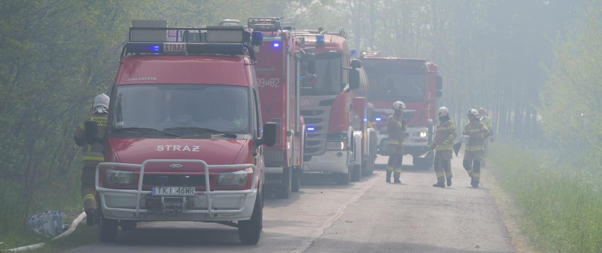 Samochody straży pożarnej i strażacy na drodze leśnej podczas działań gaśniczych w lesie