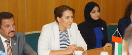 Delegacja Zjednoczonych Emiratów Arabskich