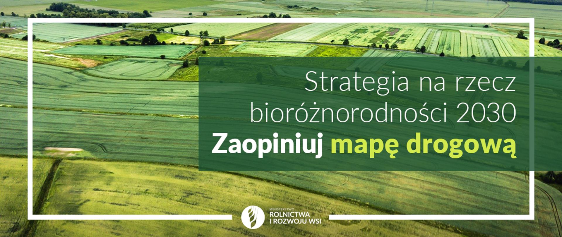 Strategia bio2030 - mapa drogowa