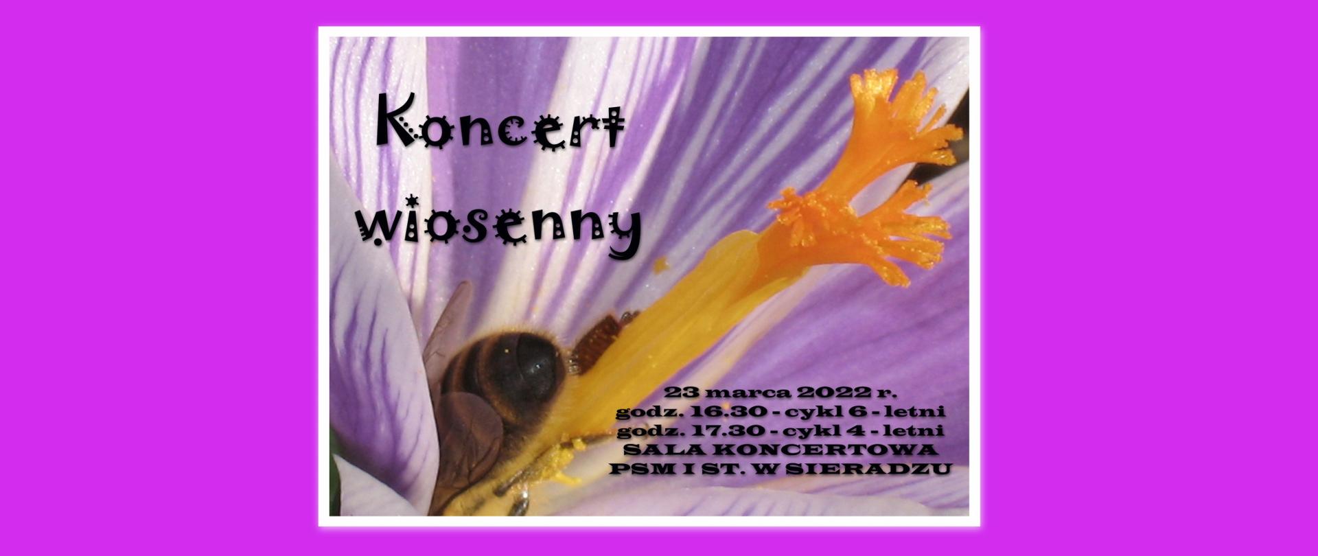 Pszczółka na pręciku kwiatka, napis koncert wiosenny 23 marca 2022 r. Sala koncertowa PSM I st. w Sieradzu