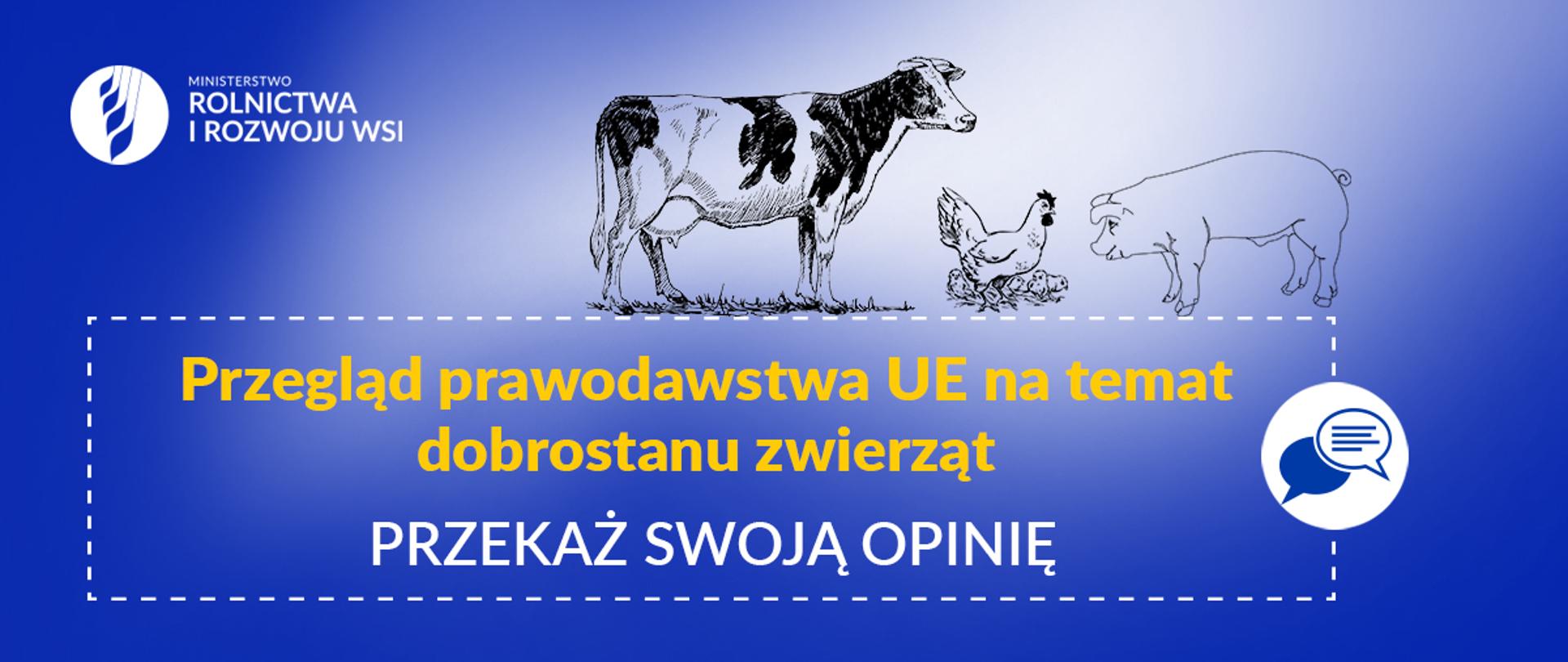 Przegląd prawodawstwa UE nt. dobrostanu zwierząt – przekaż swoją opinię