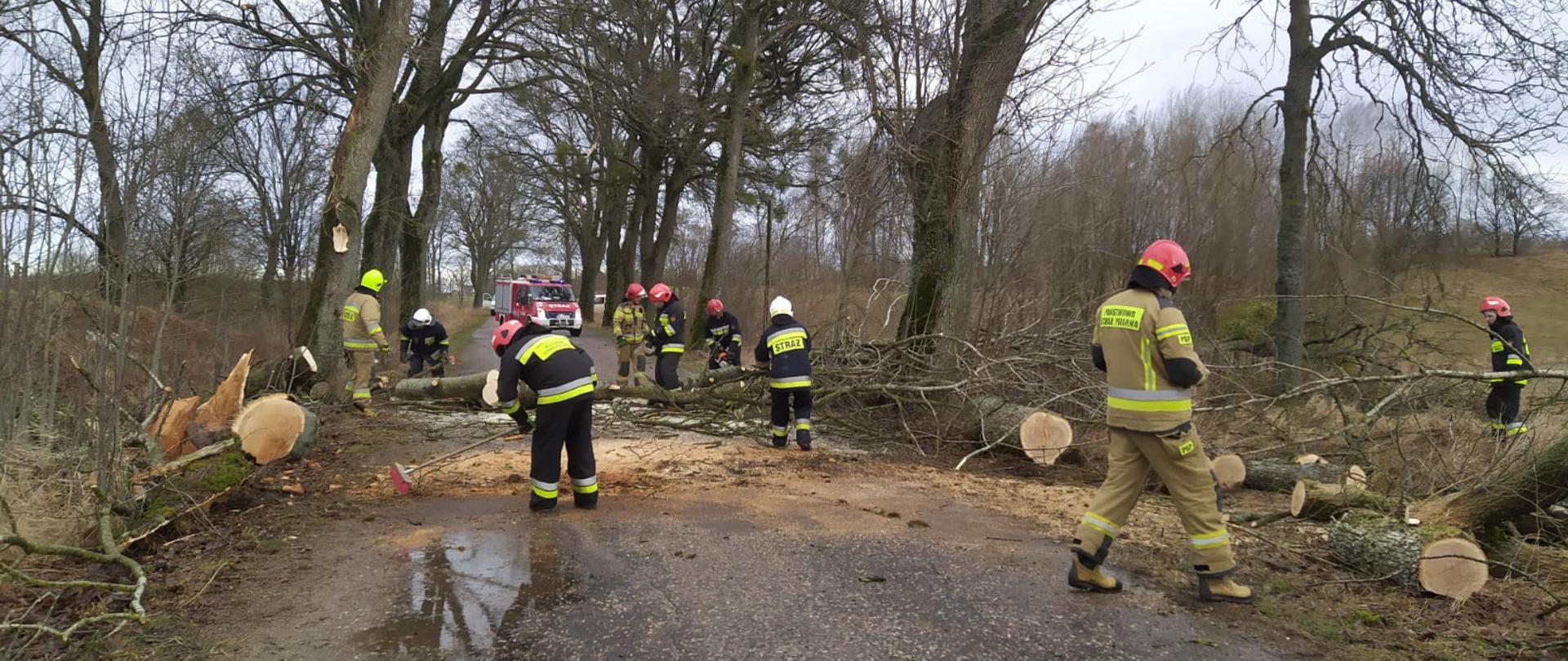 Zdjęcie przedstawia dziewięciu strażaków działających przy usuwaniu powalonego drzewa i złamanych konarów z drogi publicznej. W tle widoczny jest również pojazd pożarniczy