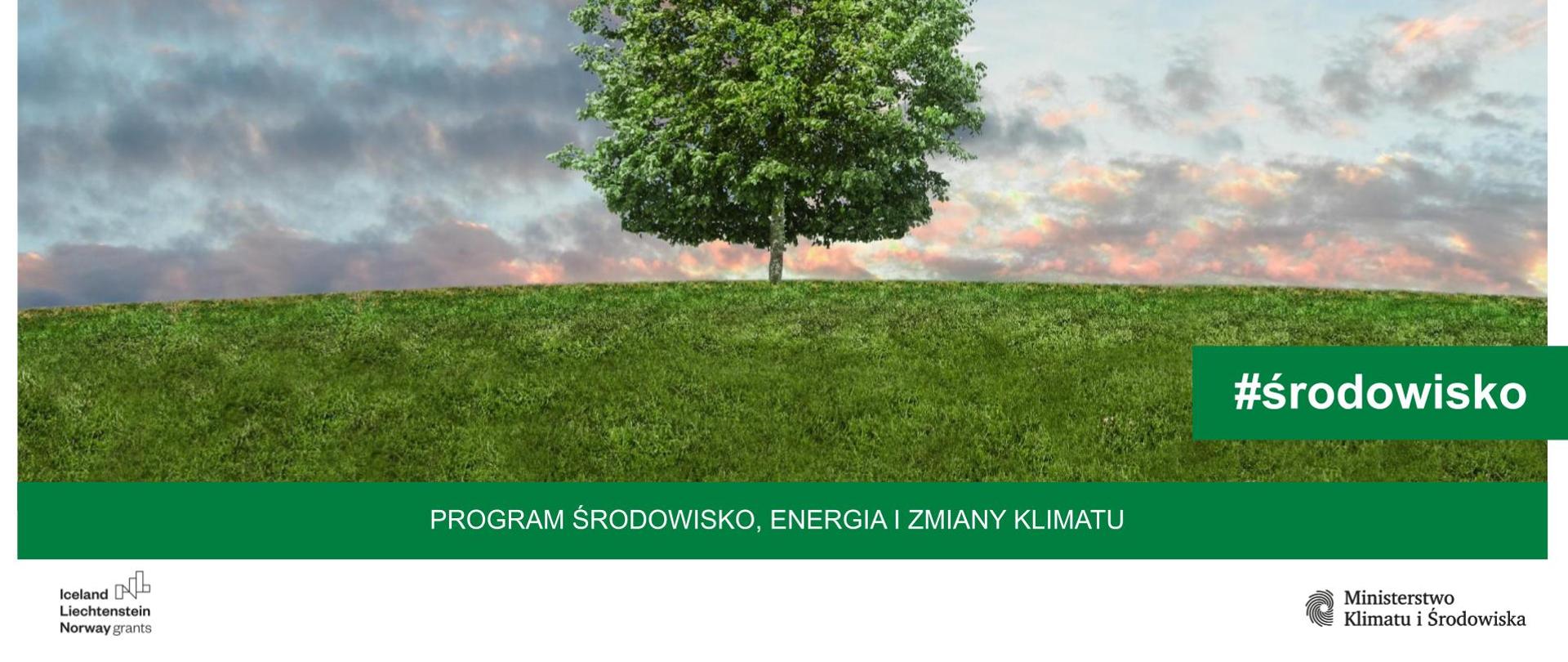 Program Środowisko Energia i Zmiany Klimatu - Usługi świadczone przez główne typy ekosystemów w Polsce – podejście stosowane