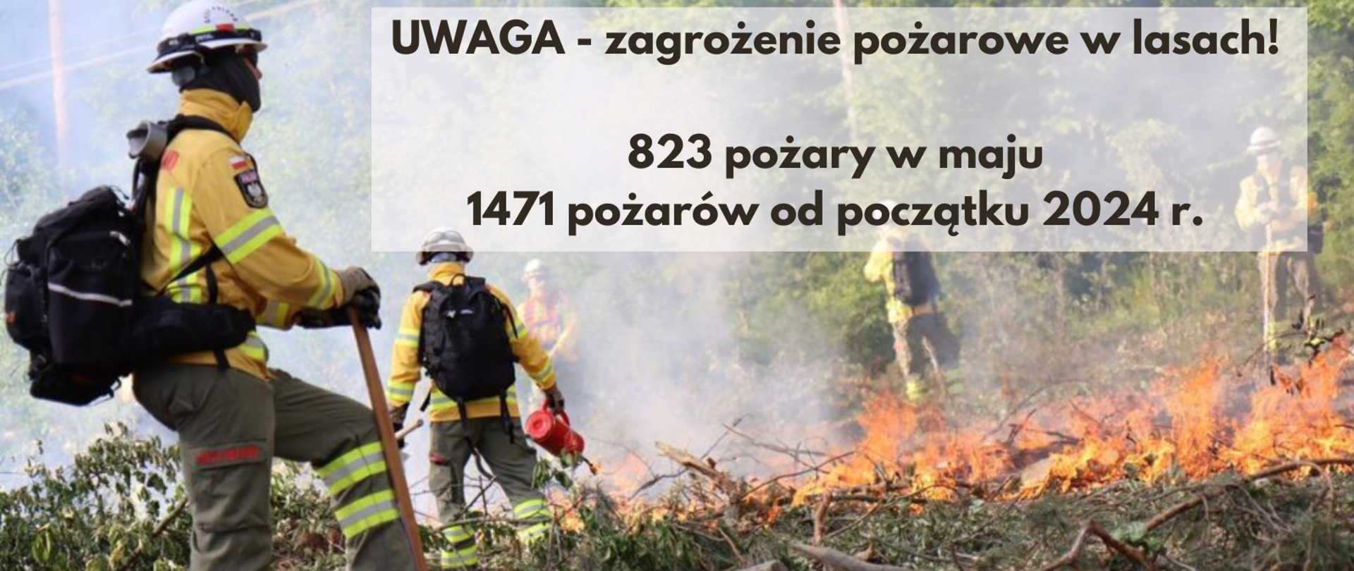 Zdjęcie strażaków podczas gaszenia pożaru zarośli w okolicy lasu oraz napis UWAGA - zagrożenie pożarowe w lasach! 823 pożary w maju, 1471 pożarów od początku 2024 r.