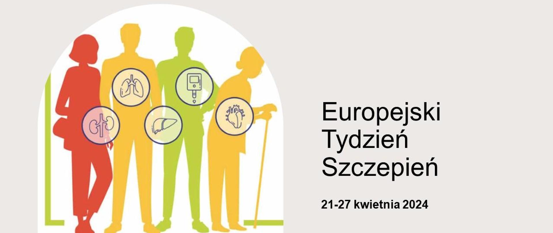 Wypełnione kolorami kontury 2 sylwetek kobiet i 2 mężczyzn w różnym wieku a na ich tle grafiki organów (płuca, wątroba, serce, nerki), obok napis: Europejski Tydzień Szczepień 21-27 kwietnia 2024