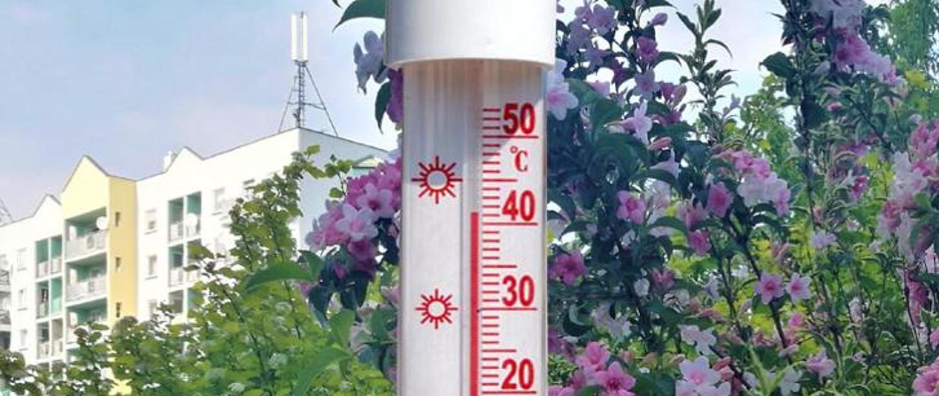Zdjęcie pokazuje termometr temperatury powietrza i wskazuje ponad 40 stopni Celsiusza