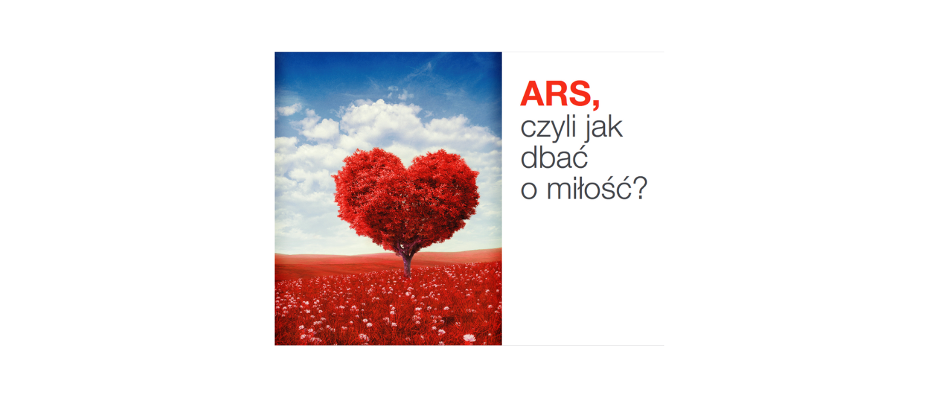 Na białym tle na środku logo programu ARS, czyli jak dbać o miłość?. Z prawej strony czerwony napis "ARS" z czarnym dopiskiem "czyli jak dbać o miłość?". z Lewej strony na zdjęciu drzewo z koroną drzewa w kształcie czerwonego serca, stojące na czerwonej łące, w tle niebieskie niebo z białymi chmurami.