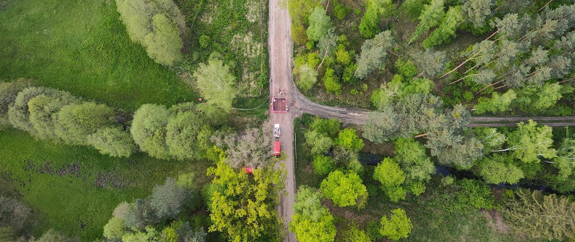 Zdjęcie z drona. Na zdjęciu widoczny las i strazacy.