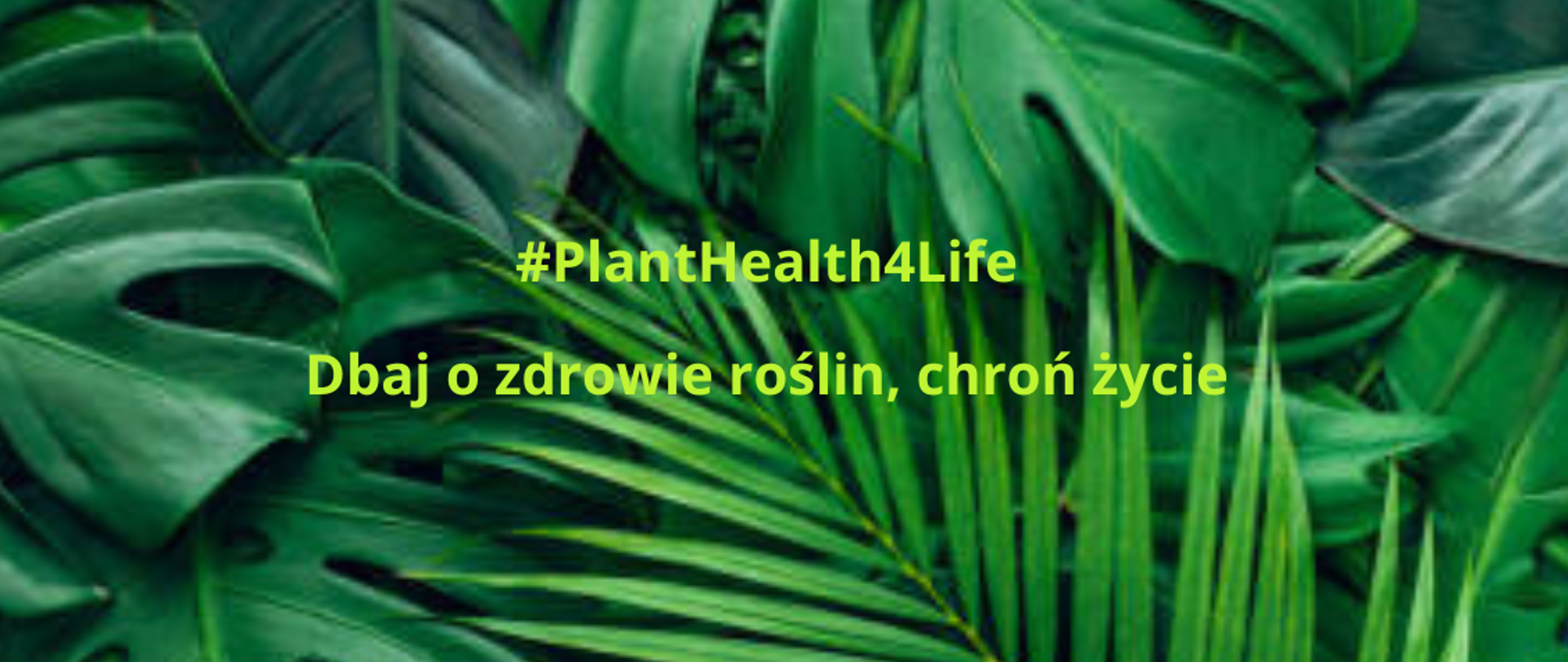 Rozpoczęcie kampanii #PlantHealth4Life