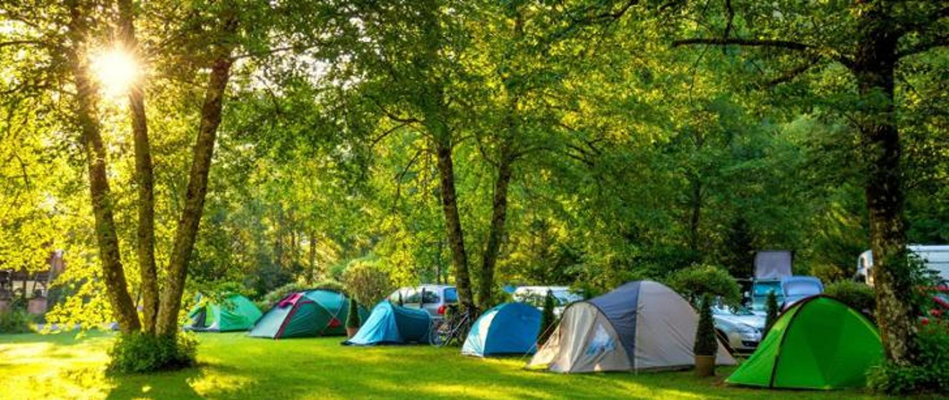 zdjęcie przedstawiające namioty na polanie