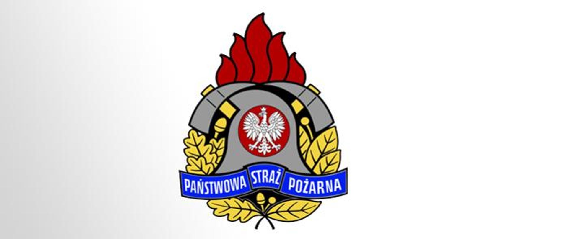 logotyp PSP, w centrum znajduje się godło Państwa Polskiego – Orzeł Biały. Hełm strażacki, który okalają dwa toporki. Całość dopełnia złoty wieniec z liści oraz owoców dębu i wawrzynu.