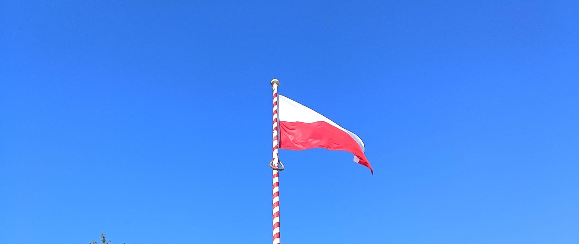 Flaga Polski powiewa na maszcie na tle nieba. Na dole tła drzewa oraz krzewy.