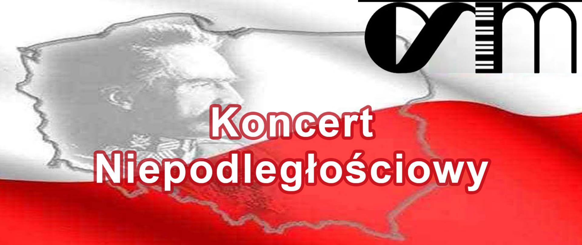 Na tle flagi biało-czerwonej kontur Polski. W obrysie umieszczone zdjęcie Józefa Piłsudskiego oraz tytuł Koncert Niepodległościowy.
W prawym górnym rogu czarno-białe logo szkoły. 