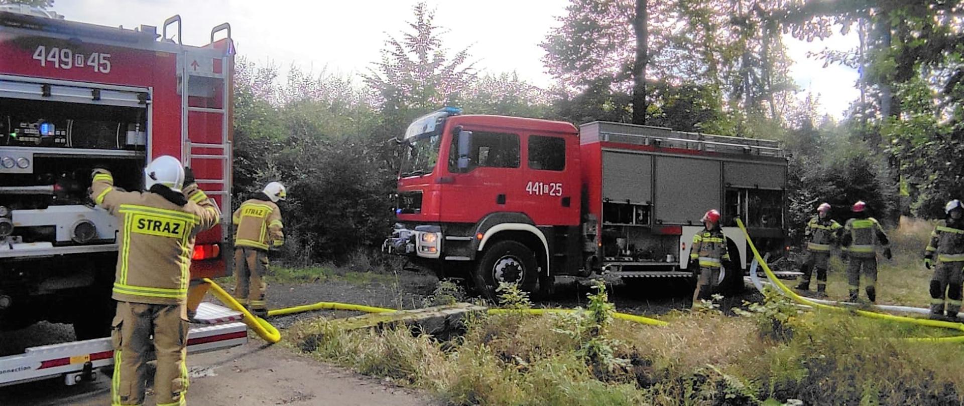 Obraz przedstawia strażaków w umundurowaniu specjalny rozwijających linie gaśnicze z pojazdów pożarniczych. Strażacy znajdują się w lesie. Pora dzienna.
