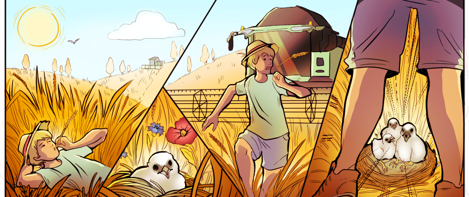 grafika przedstawia historię w wersji komiksowej części opowieści storytellingowej dla projektu poświęconemu ochronie błotniaka łąkowego 