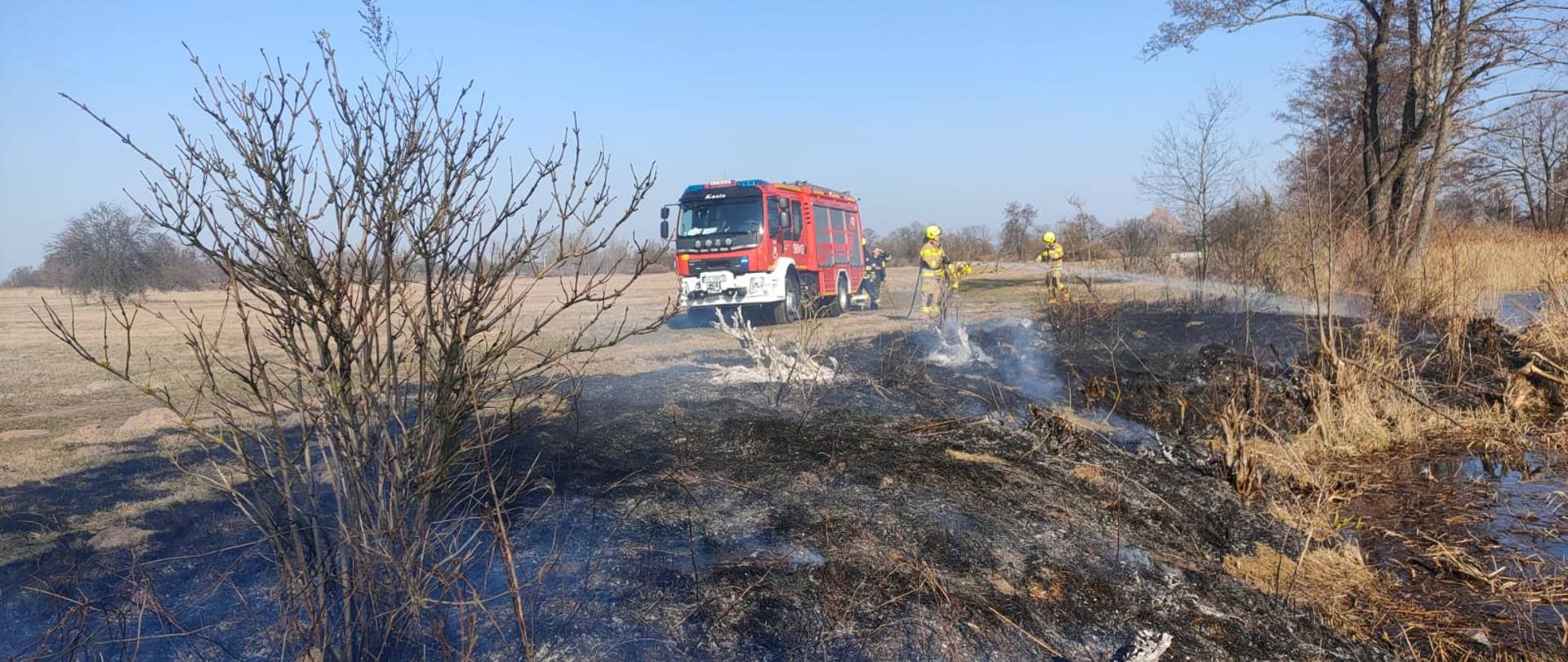 Samochód gaśniczy z dwoma strażakami którzy gaszą palącą się słucha trawę w tle krzewy i drzewa