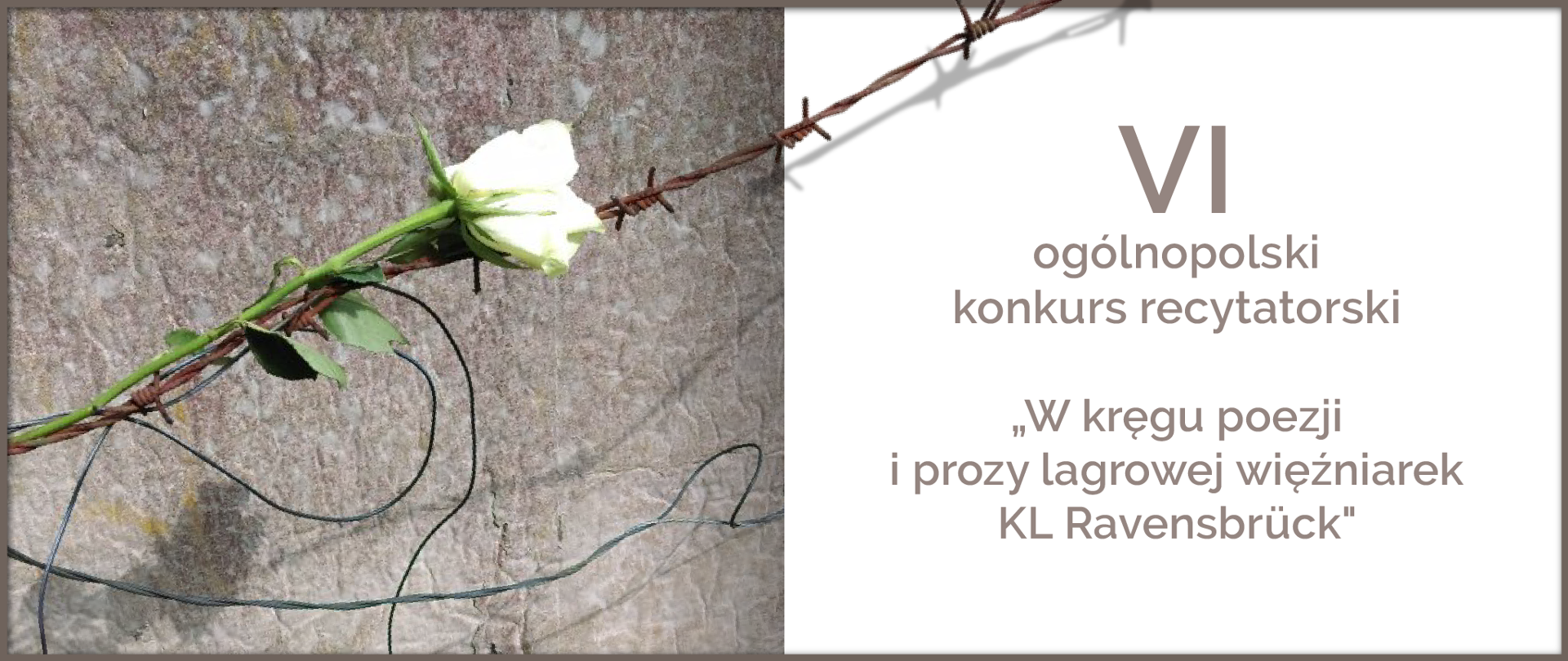 Grafika przedstawiająca białą różę na tle muru i drutu kolczastego. Obok napis Ogólnopolski konkurs recytatorski W kręgu poezji i prozy lagrowej więźniarek KL Ravensbrück