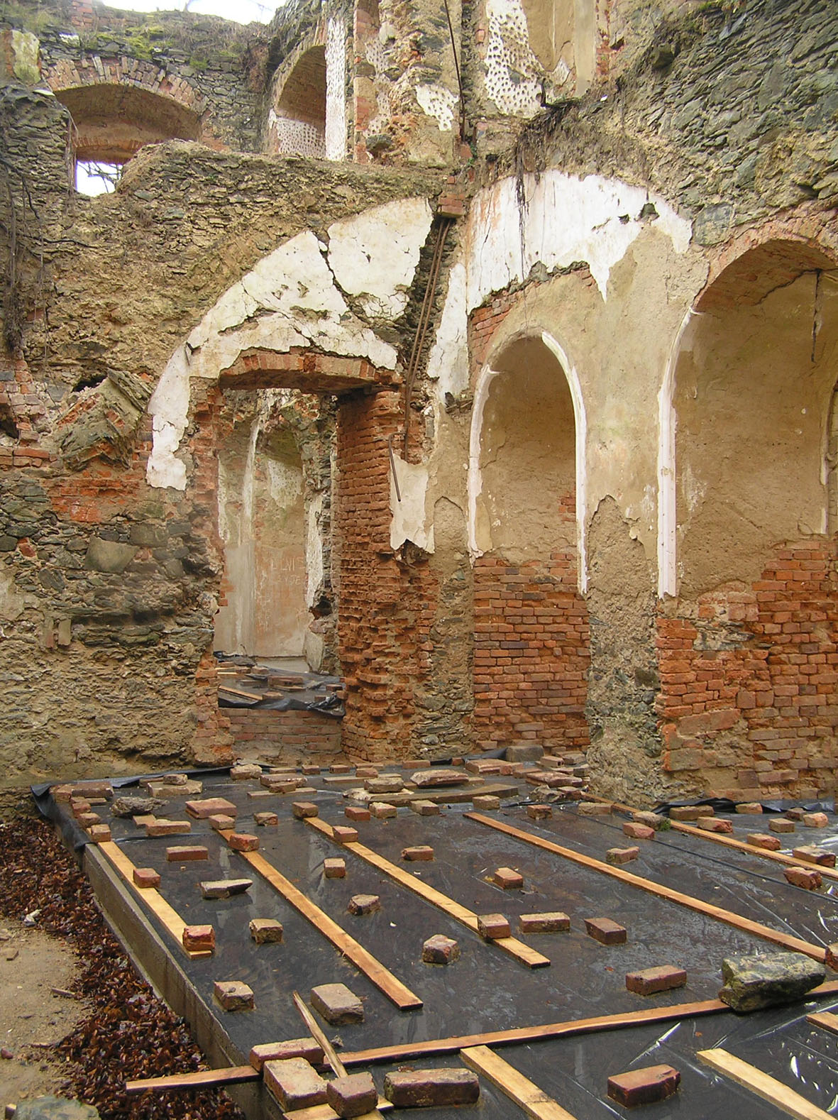 Płonina1 (JPG)