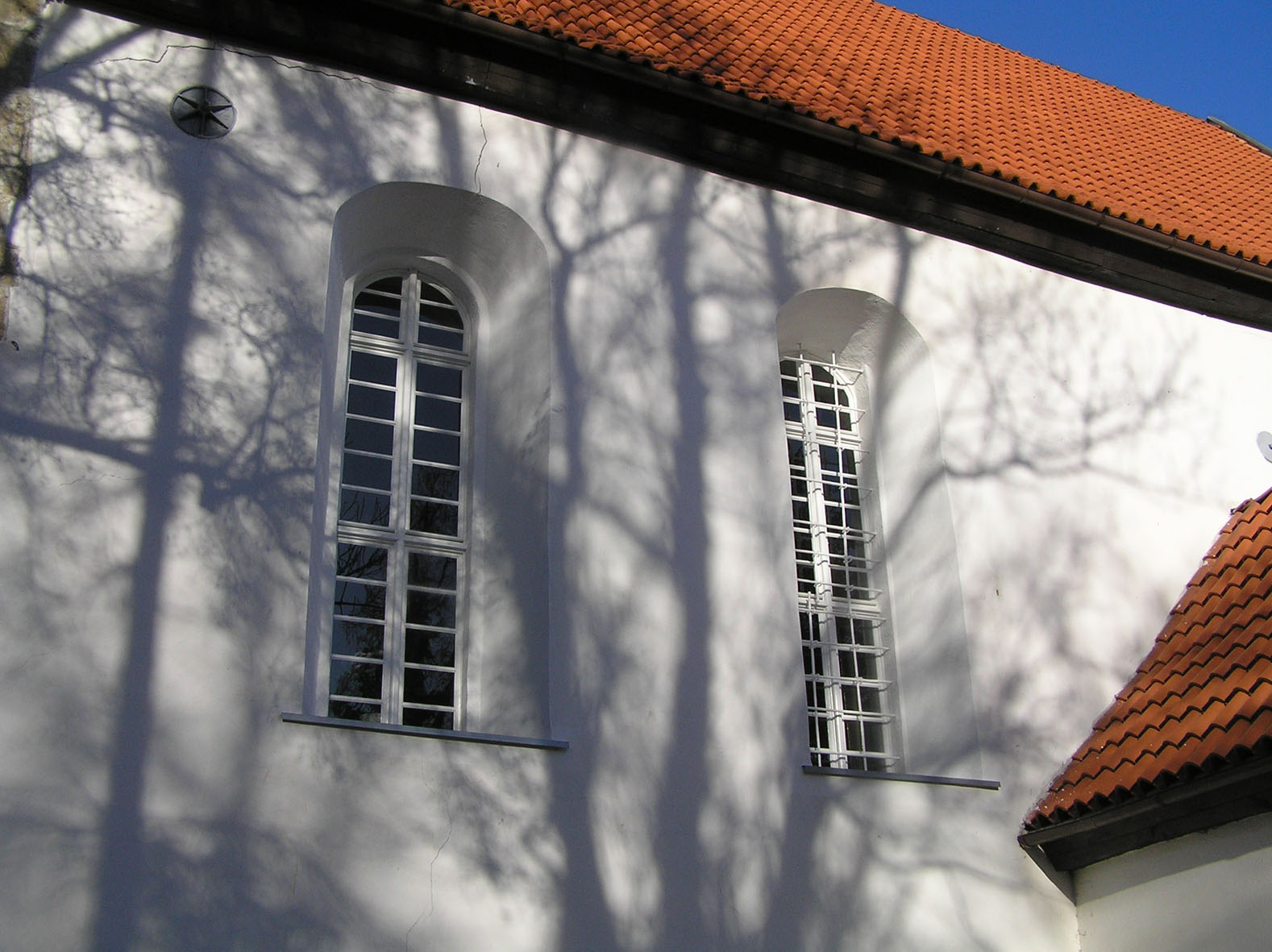 Rokitnica2 (JPG)