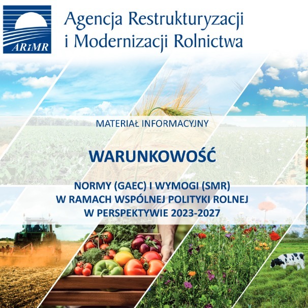 zdjęcie okładki broszury na temt :warunkowość 