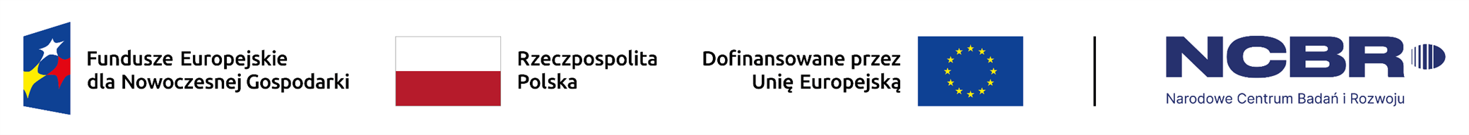 Belka z logotypami FENG, RP, UE i NCBR.