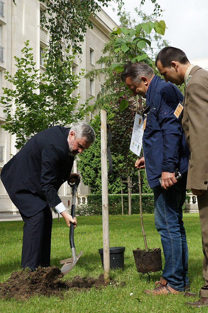 Minister Ardanowski w trakcie sadzenia lipy