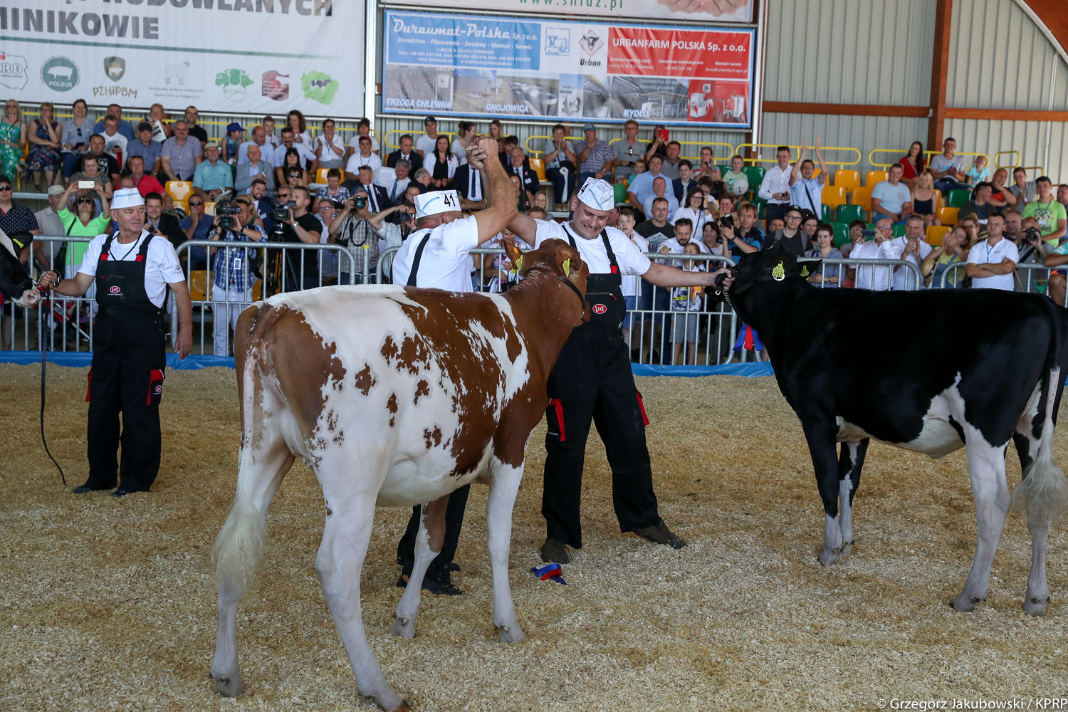 XX Kujawsko-Pomorska Wystawa Zwierząt Hodowlanych w Minikowie fot. G. Jakubowski / KPRM