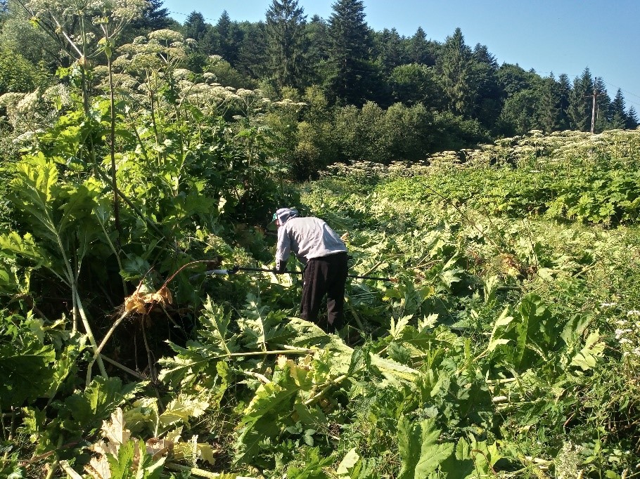 Nowe akty prawne o inwazyjnych gatunkach obcych