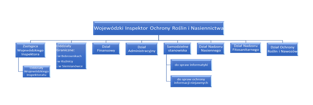 Schemat organizacyjny WIORiN w Bialymstoku