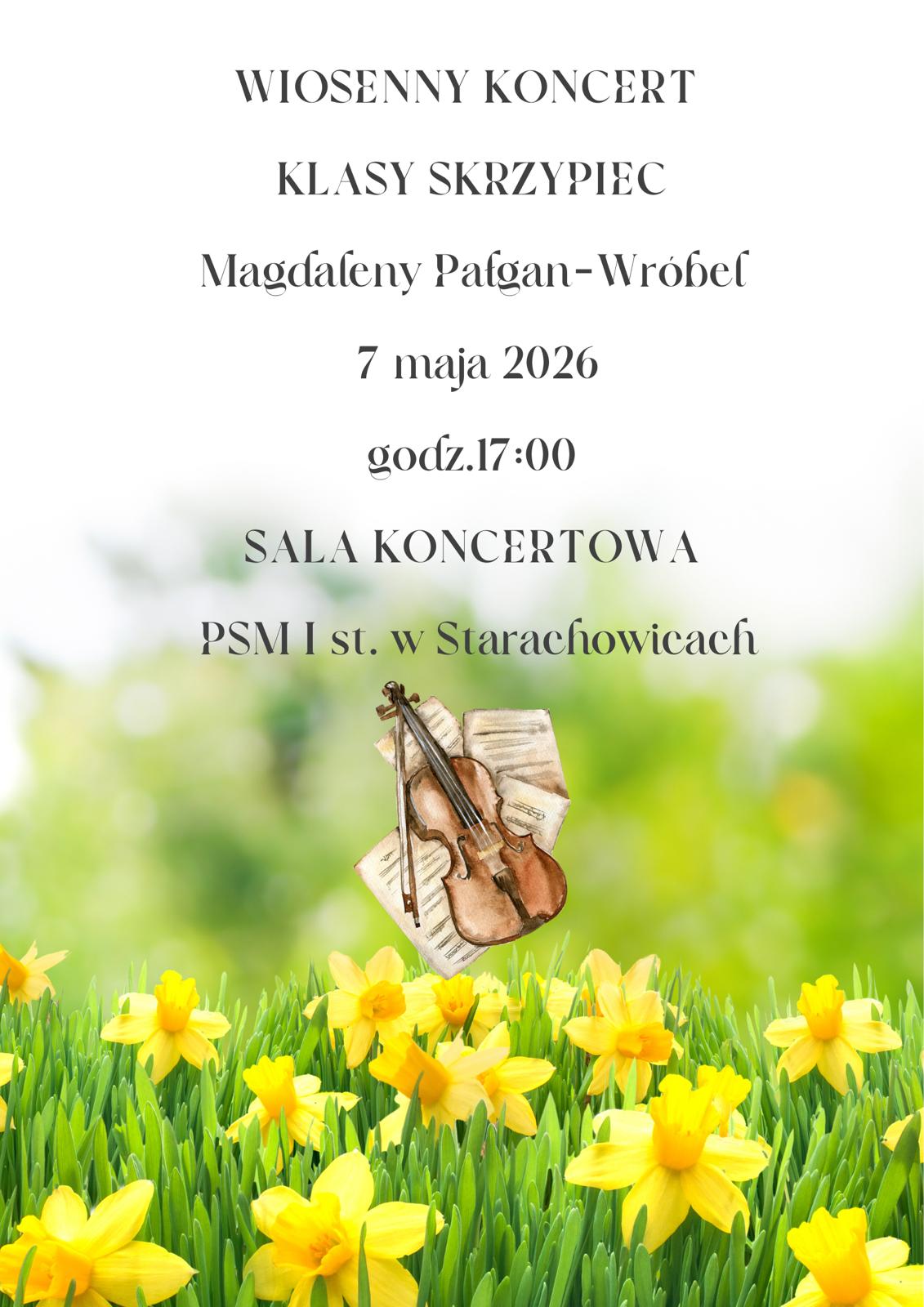 Plakat wiosennego koncertu klasy skrzypiec Magdaleny Pałgan-Wróbel. Na jasnym tle widnieje czarny, elegancki tekst z informacją: koncert odbędzie się 7 maja 2026 roku o godzinie 17:00 w sali koncertowej PSM I stopnia w Starachowicach. Dolna część plakatu przedstawia żółte wiosenne kwiaty (żonkile) na zielonej trawie, a nad nimi ilustrację skrzypiec spoczywających na nutach. Całość utrzymana jest w delikatnej, wiosennej kolorystyce.